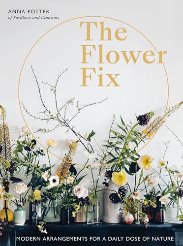 Flower Fix: Modern arrangements for a daily dose of nature (2) (Fix Series, Band 2) von White Lion Publishing