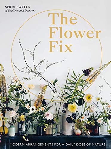 Flower Fix: Modern arrangements for a daily dose of nature (2) (Fix Series, Band 2) von White Lion Publishing