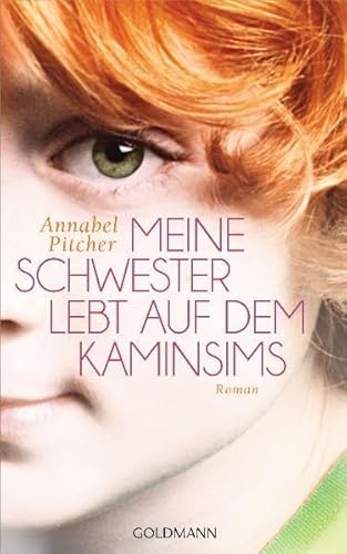 Meine Schwester lebt auf dem Kaminsims: Roman