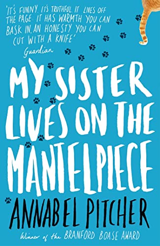 My Sister Lives on the Mantelpiece: Winner of the Branford Boase Award 2013 von Hachette Children's Book