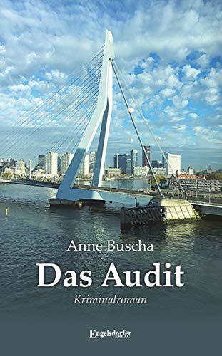 Das Audit: Kriminalroman