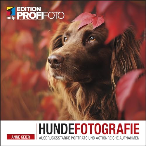 Hundefotografie: Ausdrucksstarke Porträts und actionreiche Aufnahmen (Edition ProfiFoto) (mitp Edition ProfiFoto) von MITP Verlags GmbH