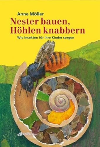 Nester bauen, Höhlen knabbern: Wie Insekten für ihre Kinder sorgen