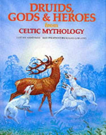 Druids, Gods and Heroes from Celtic Mythology (World mythology series) von Eurobook Ltd