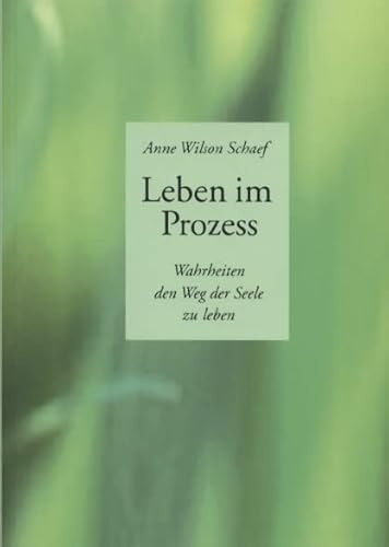 Leben im Prozess: Wahrheiten den Weg der Seele zu leben von Vollenweider, Ilserose