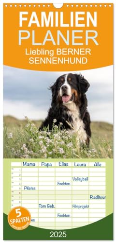 Familienplaner 2025 - Liebling BERNER SENNENHUND mit 5 Spalten (Wandkalender, 21 cm x 45 cm), CALVENDO