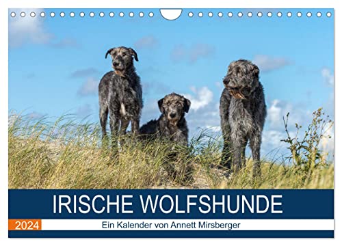 Irische Wolfshunde (Wandkalender 2024 DIN A4 quer), CALVENDO Monatskalender von CALVENDO