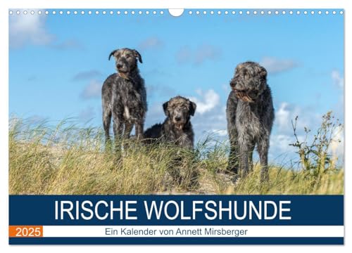 Irische Wolfshunde (Wandkalender 2025 DIN A3 quer), CALVENDO Monatskalender von CALVENDO