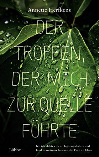 Der Tropfen, der mich zur Quelle führte: Ich überlebte einen Flugzeugabsturz und fand in meinem Inneren die Kraft zu leben