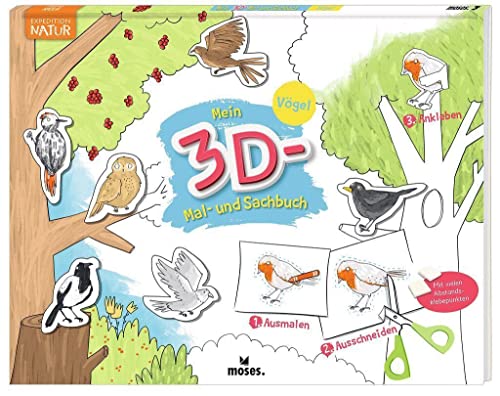 moses. Mein 3D Mal- und Sachbuch - Vögel | Expedition Natur Bastelbuch mit 3D-Effekt | Malbuch mit Naturpanoramen für Kinder ab 4 Jahren von moses Verlag