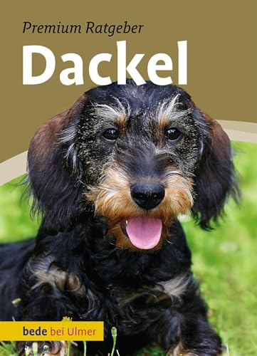 Dackel