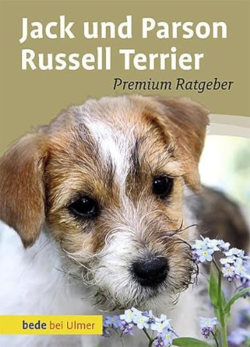Jack und Parson Russell Terrier (Meisterfloristen): Premium Ratgeber