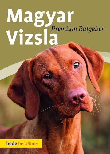 Magyar Vizsla