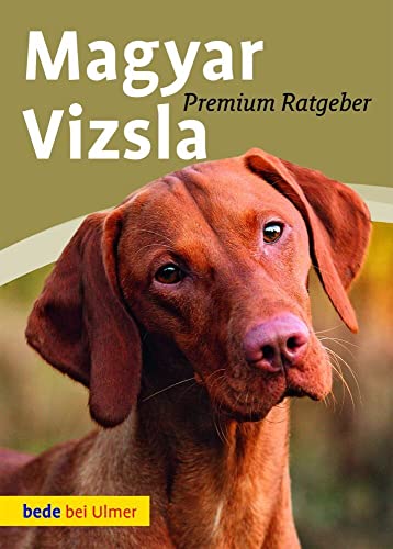 Magyar Vizsla