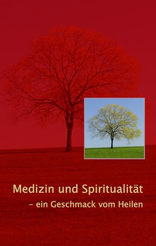 Medizin und Spiritualität: ein Geschmack vom Heilen