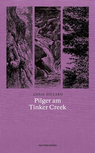 Pilger am Tinker Creek (Naturkunden) von Matthes & Seitz Verlag
