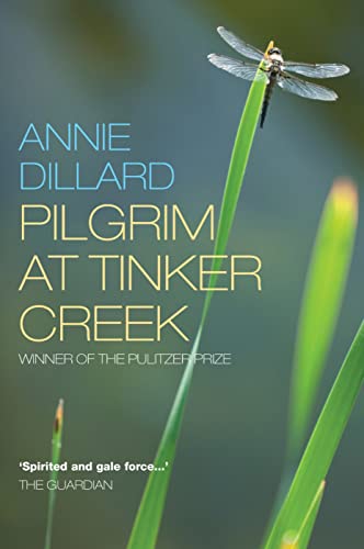 Pilgrim at Tinker Creek von Canterbury Press Norwich