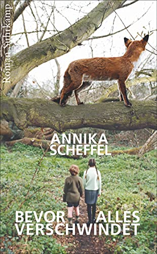 Bevor alles verschwindet: Roman (suhrkamp taschenbuch) von Suhrkamp Verlag AG