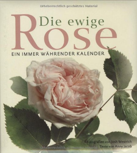 Die ewige Rose: Ein immer währender Kalender von Bassermann Verlag