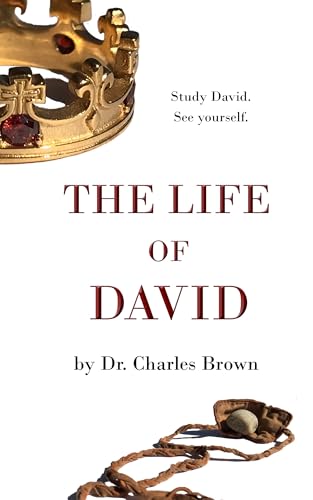 The Life of David The Life of David von Anson Street Press