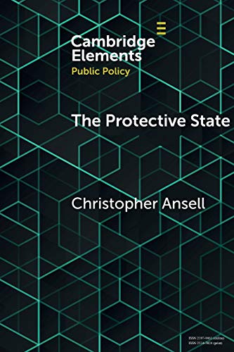 The Protective State (Elements in Public Policy) von Cambridge University Press