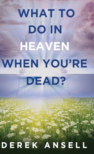 What to do in Heaven when you're Dead? von Next Chapter