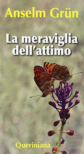 La meraviglia dell'attimo (Meditazioni)