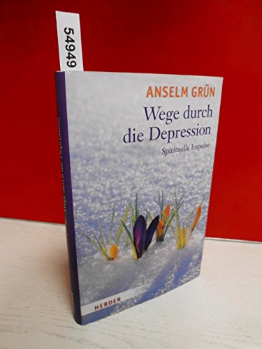 Wege durch die Depression: Spirituelle Impulse Wege durch die Depression: Spirituelle Impulse