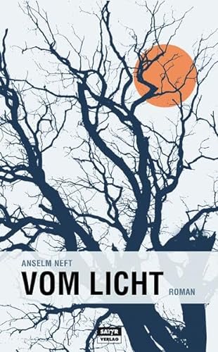 Vom Licht: Roman von Satyr Verlag