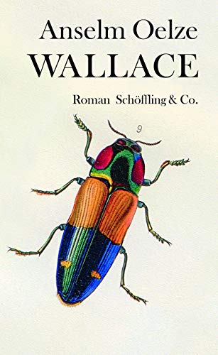 Wallace: Roman von Schoeffling + Co.
