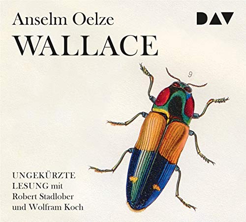 Wallace: Ungekürzte Lesung mit Robert Stadlober und Wolfram Koch (6 CDs)