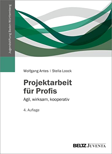Projektarbeit für Profis: Agil, wirksam, kooperativ (Veröffentlichungen der Jugendstiftung Baden-Württemberg) von Beltz