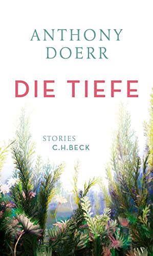 Die Tiefe: Stories