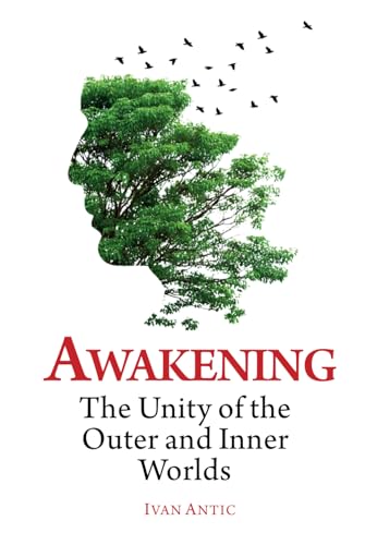 Awakening: The Unity of the Outer and Inner Worlds (Existence - Consciousness - Bliss, Band 4)