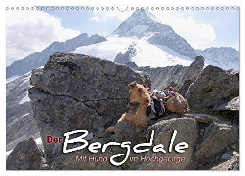 Der Bergdale - mit Hund im Hochgebirge (Wandkalender 2025 DIN A3 quer), CALVENDO Monatskalender von CALVENDO