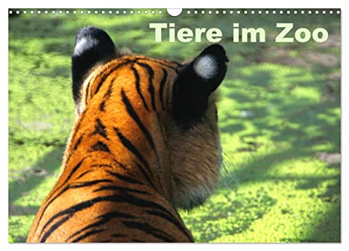 Tiere im Zoo (Wandkalender 2025 DIN A3 quer), CALVENDO Monatskalender von CALVENDO