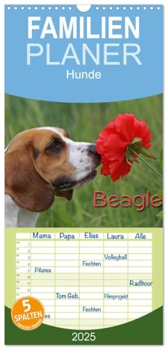 Familienplaner 2025 - Beagle mit 5 Spalten (Wandkalender, 21 cm x 45 cm), CALVENDO von CALVENDO