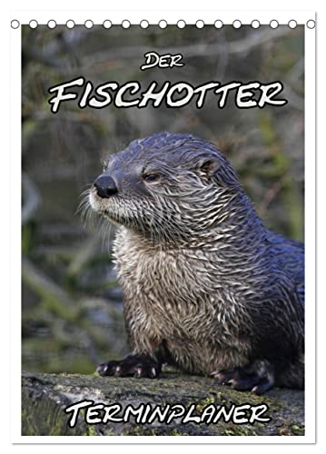 Der Fischotter-Terminplaner (Tischkalender 2024 DIN A5 hoch), CALVENDO Monatskalender von CALVENDO