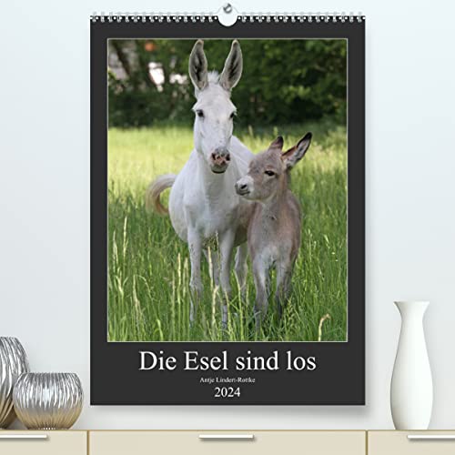 Die Esel sind los (hochwertiger Premium Wandkalender 2024 DIN A2 hoch), Kunstdruck in Hochglanz