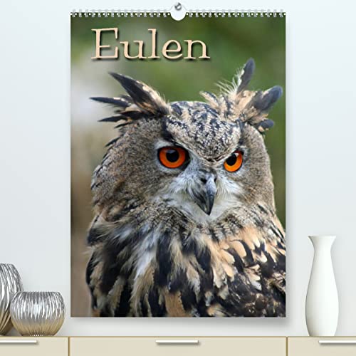 Eulen/CH-Version (hochwertiger Premium Wandkalender 2024 DIN A2 hoch), Kunstdruck in Hochglanz
