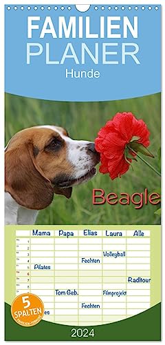 Familienplaner 2024 - Beagle mit 5 Spalten (Wandkalender, 21 cm x 45 cm) CALVENDO