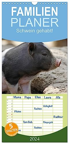 Familienplaner 2024 - Schwein gehabt! mit 5 Spalten (Wandkalender, 21 cm x 45 cm) CALVENDO
