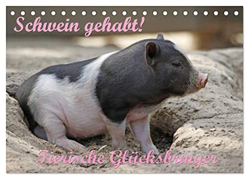 Schwein gehabt! (Tischkalender 2025 DIN A5 quer), CALVENDO Monatskalender von CALVENDO