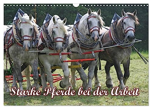 Starke Pferde bei der Arbeit (Wandkalender 2025 DIN A3 quer), CALVENDO Monatskalender von CALVENDO