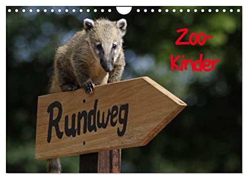 Zoo-Kinder (Wandkalender 2024 DIN A4 quer), CALVENDO Monatskalender