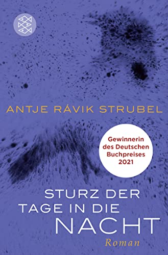 Sturz der Tage in die Nacht: Roman