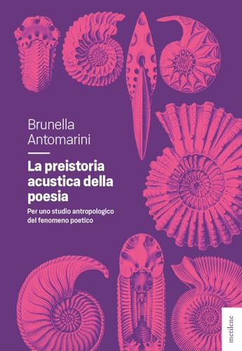 La preistoria acustica della poesia (Interstizi) von Metilene