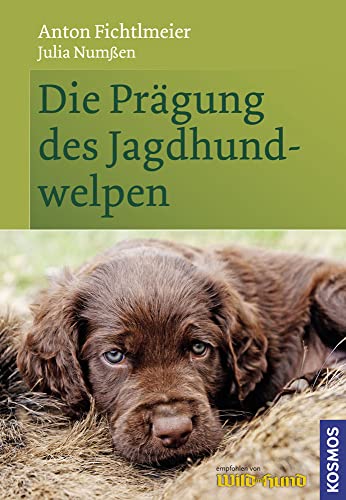Die Prägung des Jagdhundwelpen Die Prägung des Jagdhundwelpen