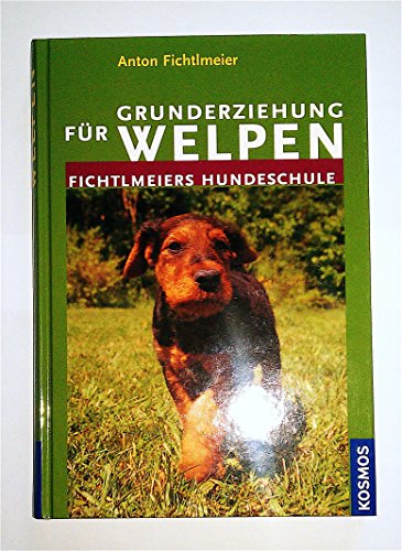 Grunderziehung für Welpen: Fichtlmeiers Hundeschule