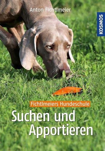 Suchen und Apportieren: Denksport für Hunde